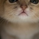 Юля Пічкар фотография #23 (источник - https://vk.com/id143598490)