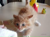 Фотография Чечевой Марии