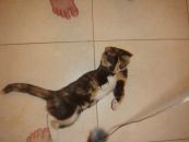 Машка Степанова фотография #17 (источник - https://vk.com/id3264392)
