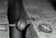 Фотография Воскресенской Анастасии