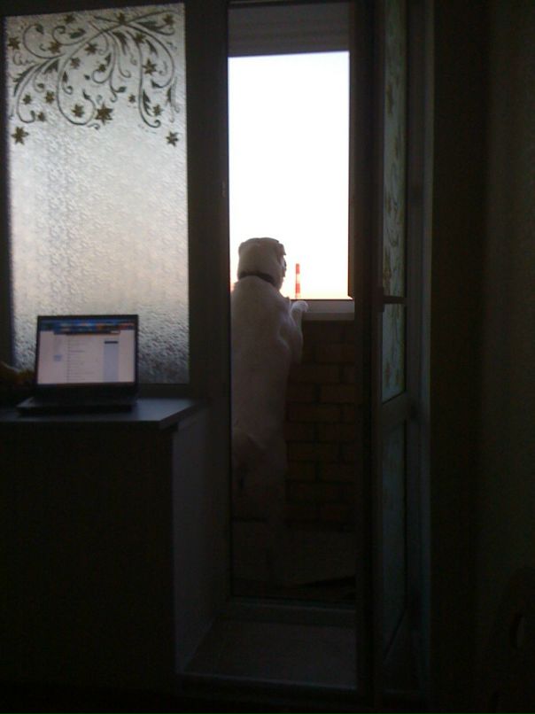 Iana Sinitsina фотография #17