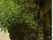Діма Меч фотография #32 (источник - https://vk.com/id137897818)
