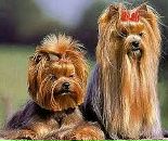 Владлєна Козачок фотография #36 (источник - https://vk.com/id98642620)