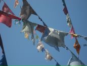 Фотография Калениченко Софьи