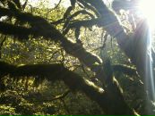 Atakan Avcı фотография #29 (источник - https://vk.com/id19319220)