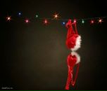 Фотография Станиславской Екатерины