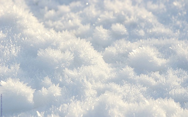 Snow'a Maks фото №4