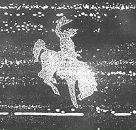 Dark Horse фотография #6 (источник - https://vk.com/id101441)