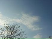 Соломія Юрченко фотография #43 (источник - https://vk.com/id80727518)