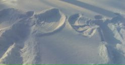 Фотография Атапиной Инны