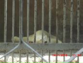 Фотография Никишина Евгения