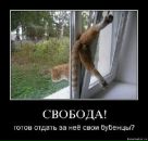 Фотография Серебренникова Степана