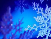 Фотография Алексеевой Ольги