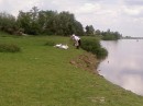 Віктор Шур фотография #30 (источник - https://vk.com/id12947419)