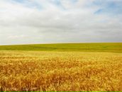 Антон Мищенко фотография #15 (источник - https://vk.com/id21482463)