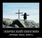 Фотография Зорина Артёма