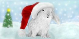 Фотография Чирковой Анны