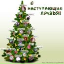 Фотография Антонова Макса