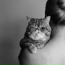 Фотография Котовой Елены