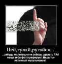 الله إلفين фотография #27 (источник - https://vk.com/id141022325)