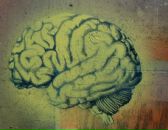 Фотография Йодова Никиты