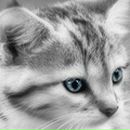 Фотография Асхадуллиной Эльзы