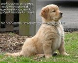 Ігор Новіцький фотография #2 (источник - https://vk.com/id116167304)