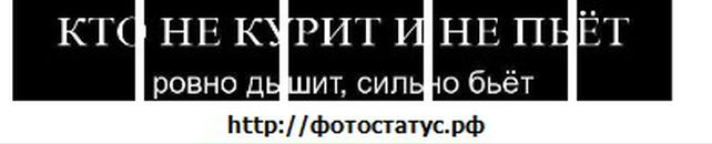 Назік Сидорук фотография #26 (источник - https://vk.com/id77012022)