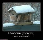 Міша Лобоцький фотография #49 (источник - https://vk.com/id21356970)