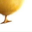 Іра Марциняк фотография #11 (источник - https://vk.com/id148611521)