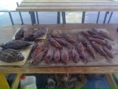 Марк Кулаков фотография #27 (источник - https://vk.com/id8317905)