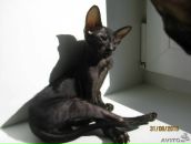 Фотография Мильновской Миланы