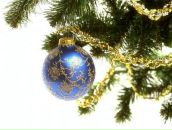 Фотография Kennedy Emmy