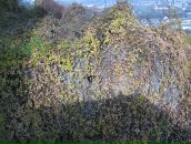 Ігор Вітер фотография #43 (источник - https://vk.com/id4821749)