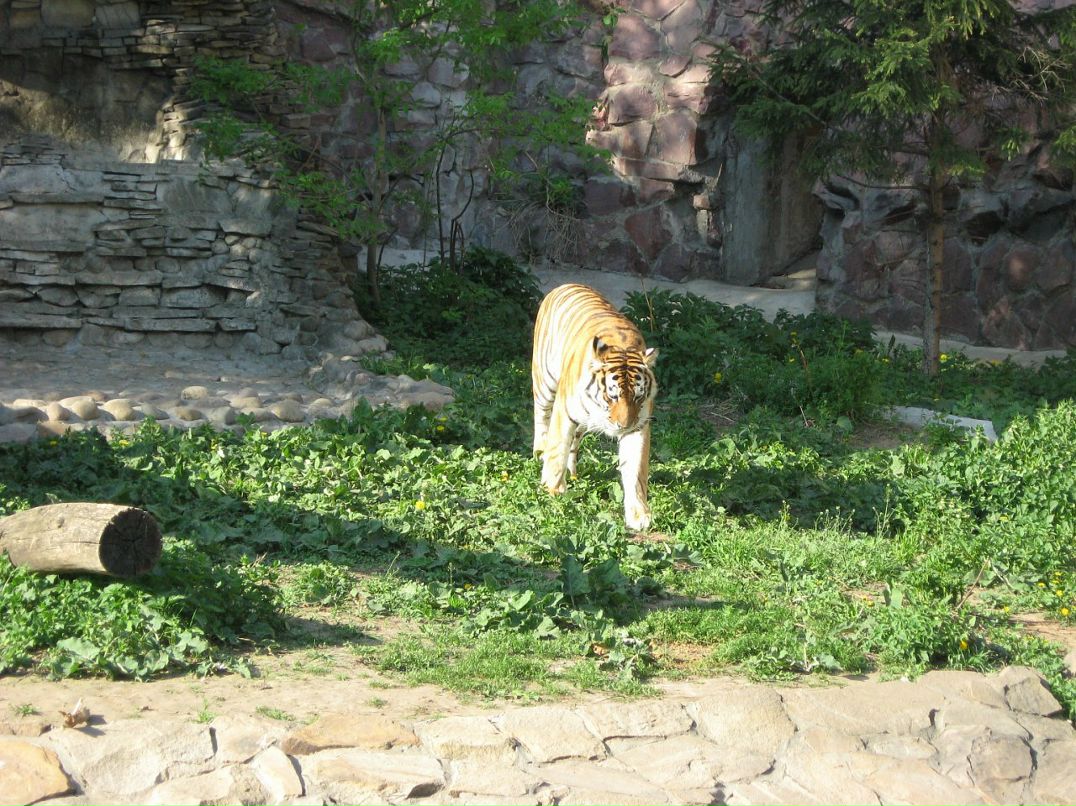 Антон Полянский фотография #14