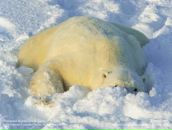 Эн Ще фотография #19 (источник - https://vk.com/id275759)