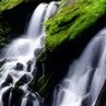 Максим Іванов фотография #3 (источник - https://vk.com/id166913305)