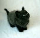 Фотография Арт Ирины