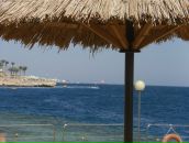 Віталік Ганич фотография #37 (источник - https://vk.com/id94850493)