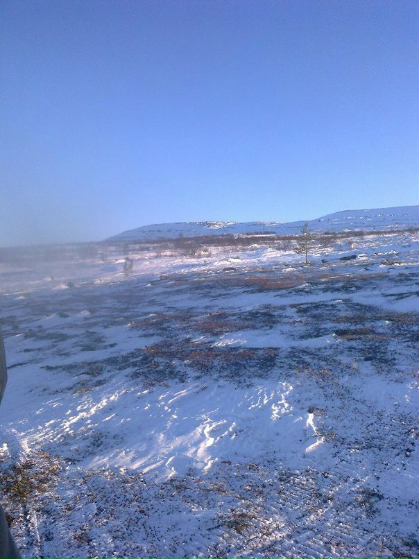 Родион Ушаков фотография #47