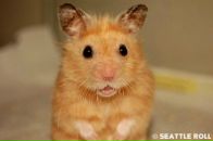 Маріночка Кулікова фотография #7 (источник - https://vk.com/id133105128)