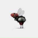 Фотография Диджокаса Вячеслава