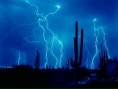 Фотография Устинова Димы