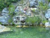 Андрій Парипа фотография #12 (источник - https://vk.com/id81925126)