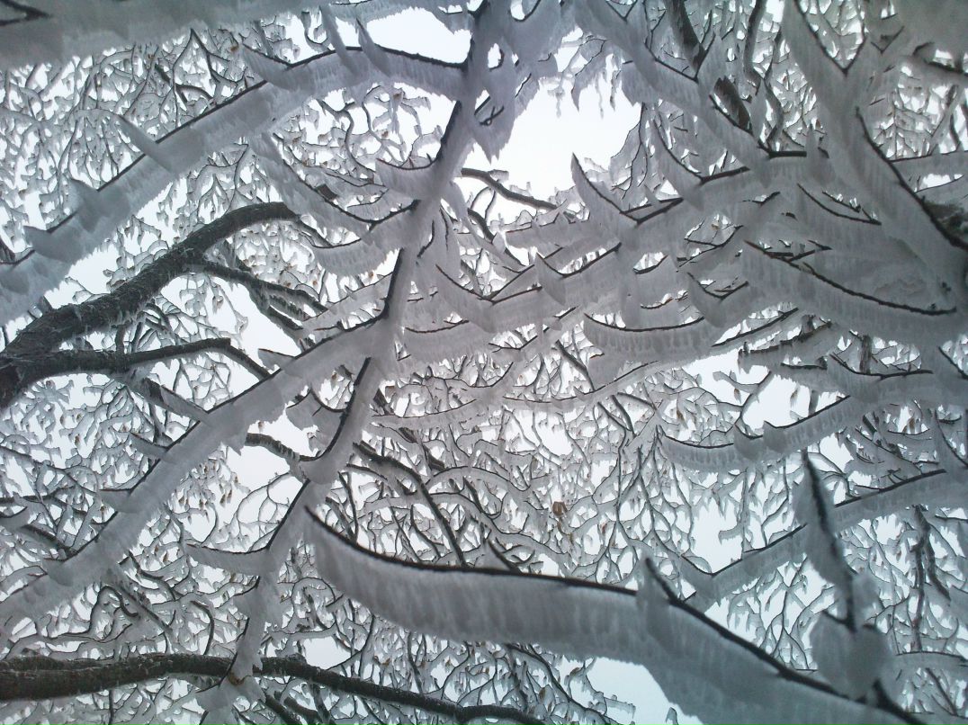 Виктор Кузнецов фотография #4