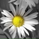 Фотография Коловой Насти