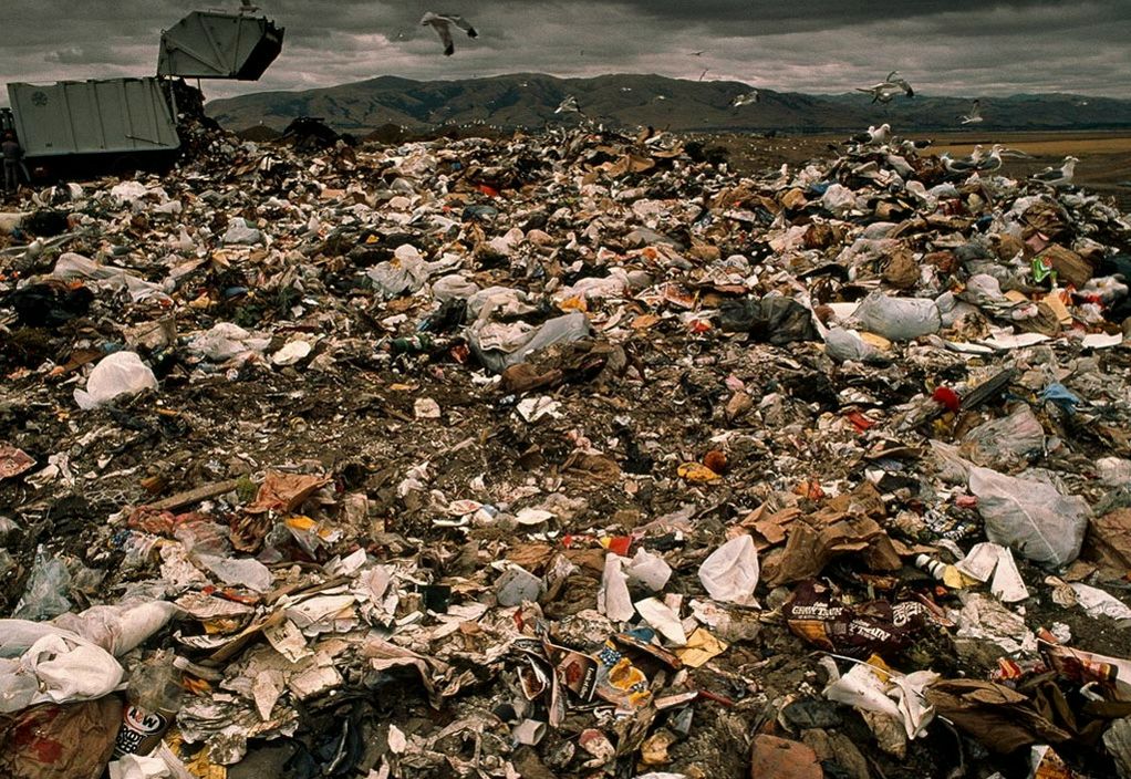 Евгений Снежко фотография #44