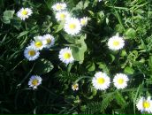 Ірина Панічева фотография #43 (источник - https://vk.com/id67275749)