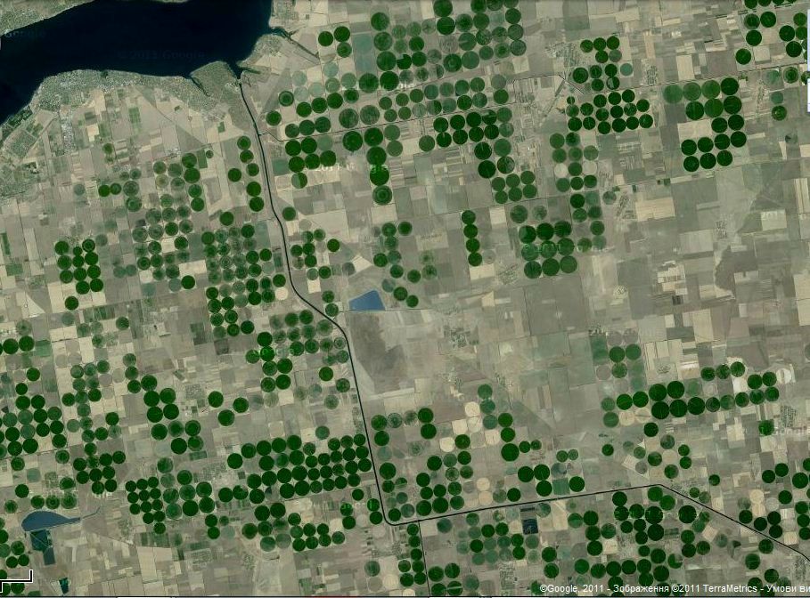 Максим Синицын фотография #14