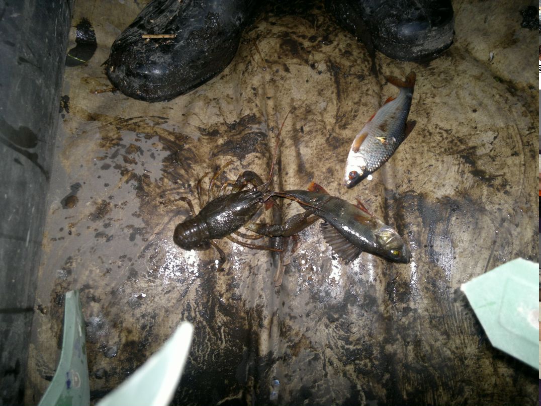 Иван Рудаков фотография #31